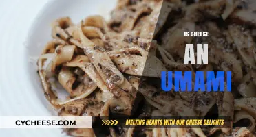 Exploring Umami: Is Cheese the Ultimate Savory Flavor Bomb?