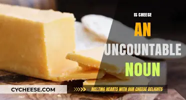 Is Cheese Countable or Uncountable? Exploring the Grammar of Dairy