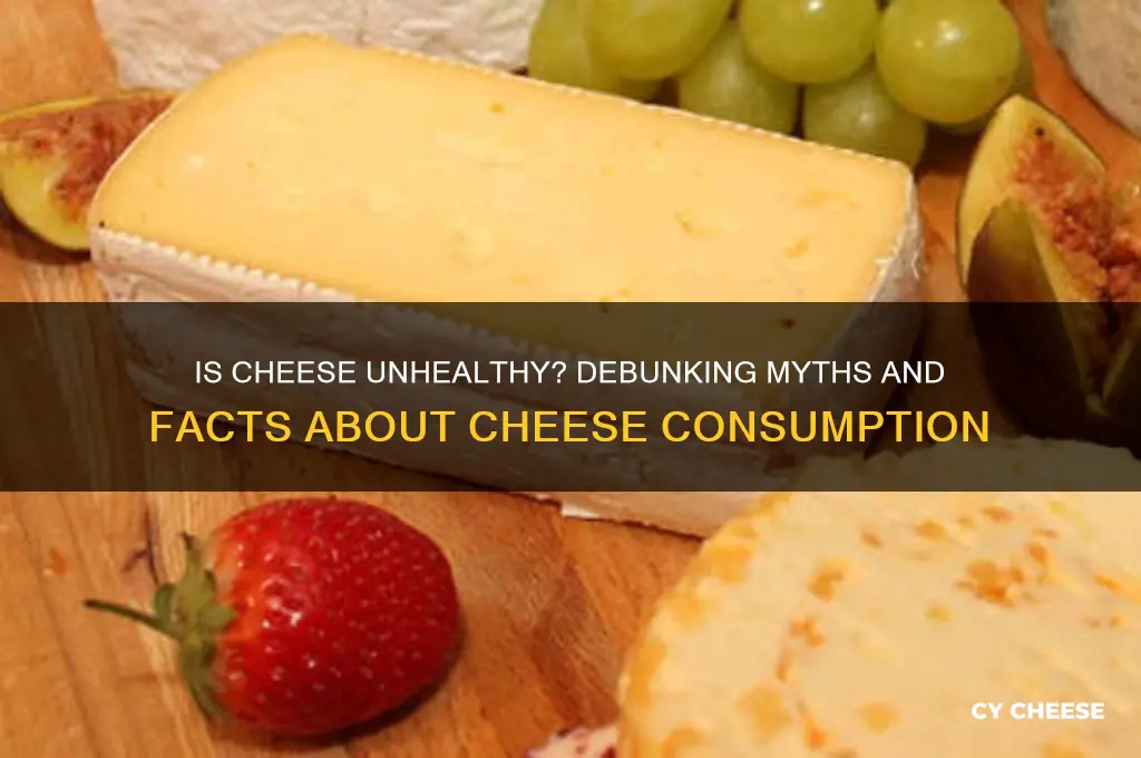 is cheese an unhealthy food