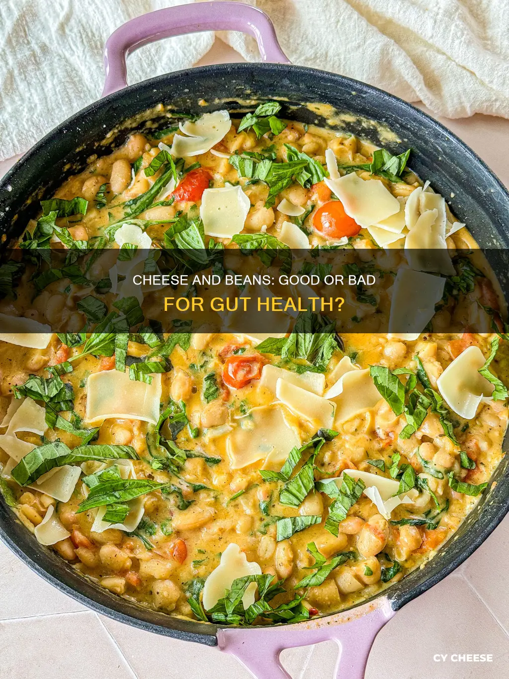 is cheese and beans bad for gut