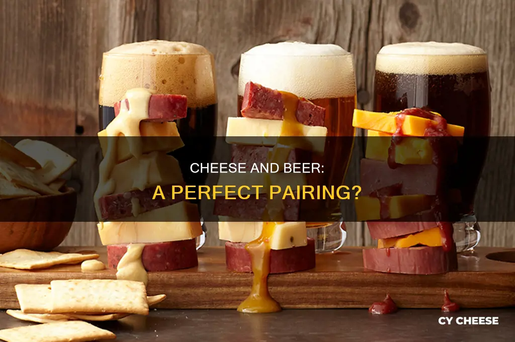 is cheese and beer a good combo
