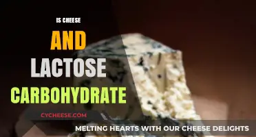 Cheese, Lactose, and Carbohydrates: Unraveling the Nutritional Facts