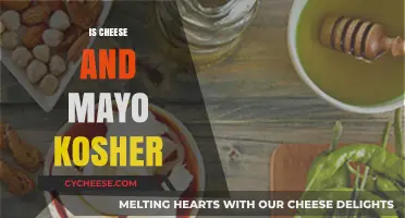 Is Cheese and Mayo Kosher? Exploring Jewish Dietary Laws and Ingredients