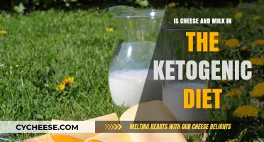 Cheese and Milk in Keto: Are They Allowed in Your Diet?