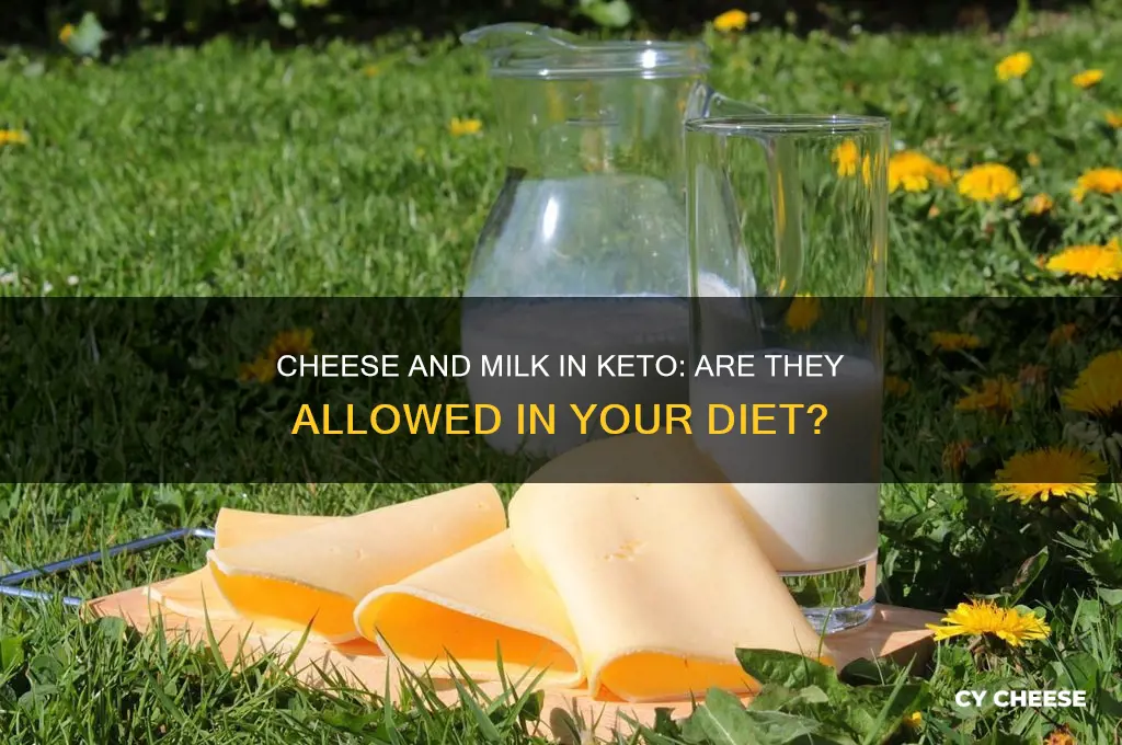 is cheese and milk in the ketogenic diet