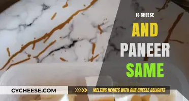 Cheese vs Paneer: Understanding the Key Differences and Similarities