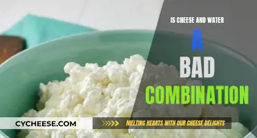 Cheese and Water: A Healthy Mix?