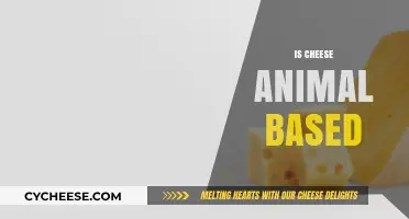 Is Cheese Animal-Based? Unraveling the Dairy Dilemma in Food Choices