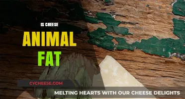 Is Cheese Animal Fat? Unraveling the Dairy Mystery