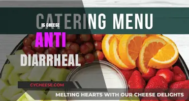 Can Cheese Stop Diarrhea? Exploring Its Anti-Diarrheal Properties