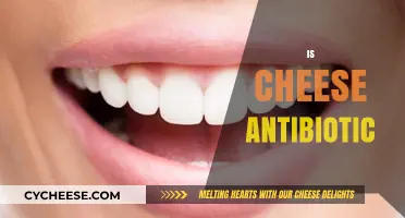 Is Cheese an Antibiotic? Unraveling the Surprising Health Benefits of Cheese