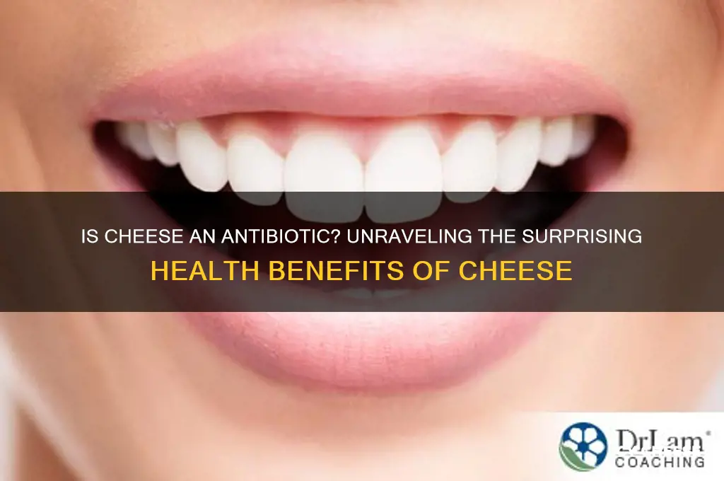 is cheese antibiotic
