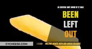 Cheese Left Out: Safe or Not?