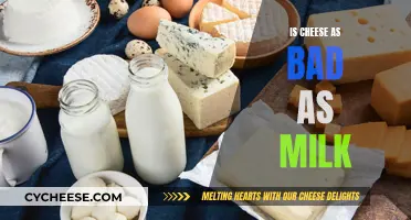 Cheese vs. Milk: What's the Healthier Option?