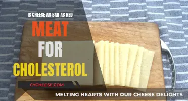 Cheese and Meat: Cholesterol Impact Explored