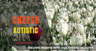 Is Cheese Autistic? Unraveling the Myth and Understanding Autism