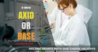 Is Cheese Acidic or Basic? Unraveling the pH Mystery of Dairy