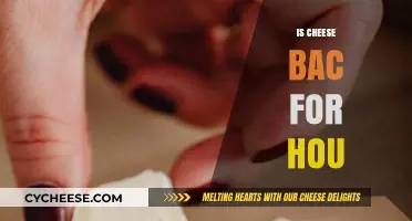 Is Cheese Bad for You? Unraveling the Truth About Dairy's Impact