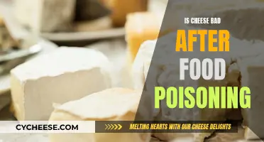 Cheese Consumption Post-Food Poisoning: Is It Safe?
