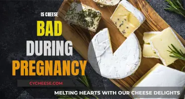 Cheese Consumption During Pregnancy: Safe or Not?