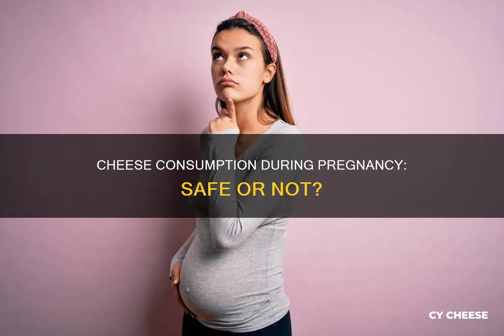 is cheese bad during pregnancy