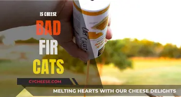 Cheese and Cats: A Good Treat or Not?