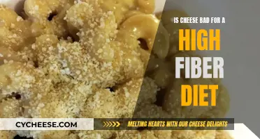 Cheese and Fiber: A Healthy Balance?