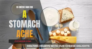 Cheese and Stomach Aches: What's the Connection?
