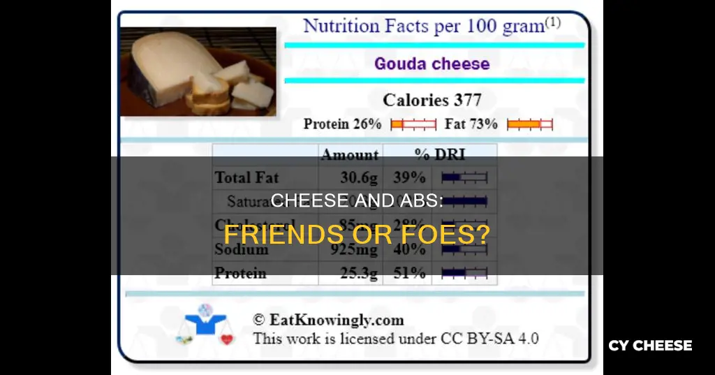 is cheese bad for abs