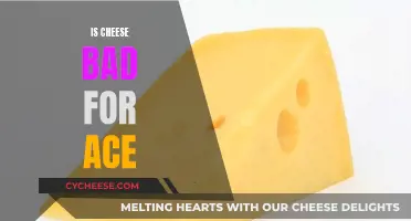 Cheese and Your Health: Friend or Foe?
