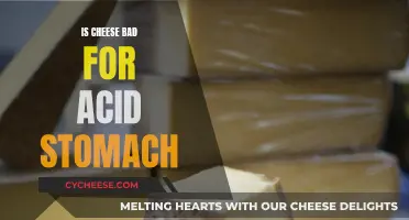 Cheese and Acid Reflux: What's the Connection?