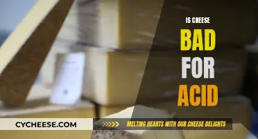 Cheese and Acid Reflux: A Healthy Balance?