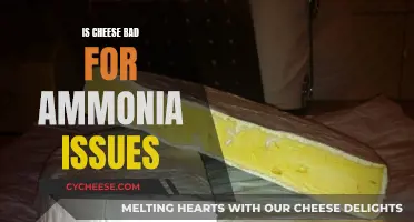 Cheese and Ammonia: A Risky Combination?