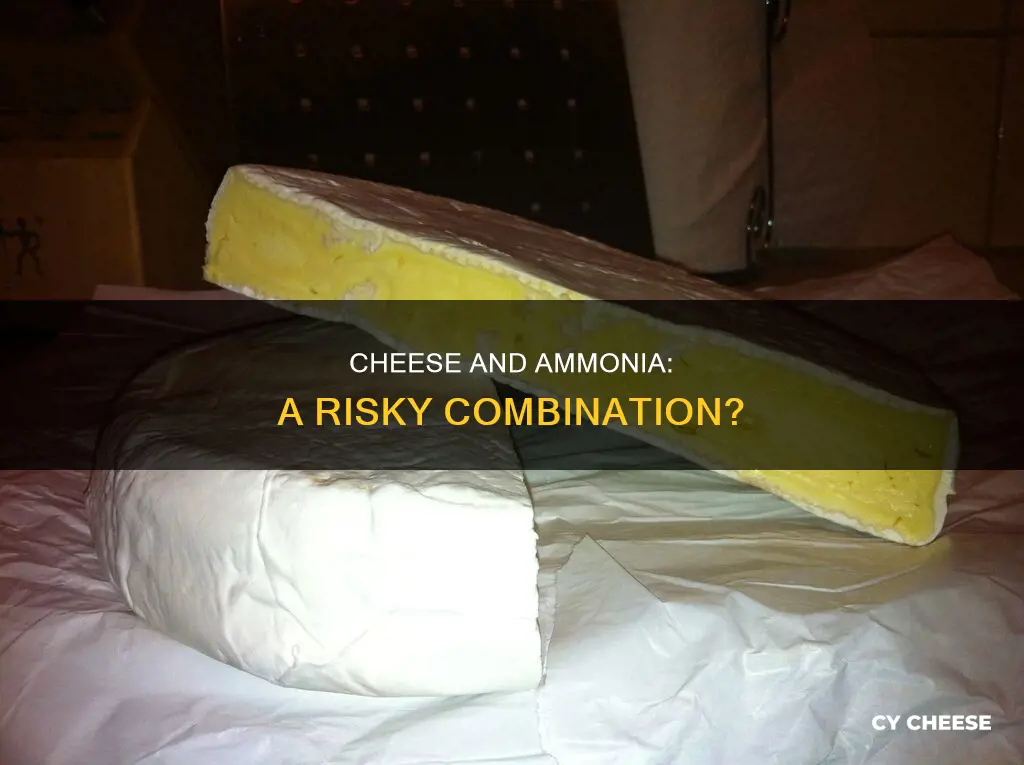 is cheese bad for ammonia issues