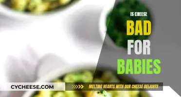 Cheese and Babies: What You Need to Know
