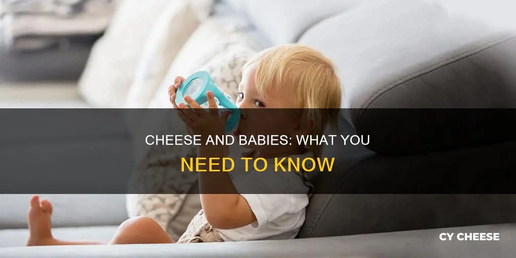 is cheese bad for babies