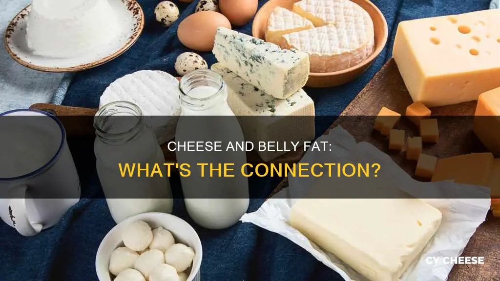 is cheese bad for belly fat