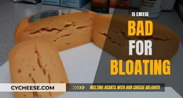 Cheese and Bloating: What's the Connection?