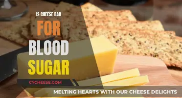 Cheese and Blood Sugar: What's the Connection?