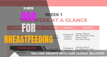 Cheese and Breastfeeding: What's the Deal?
