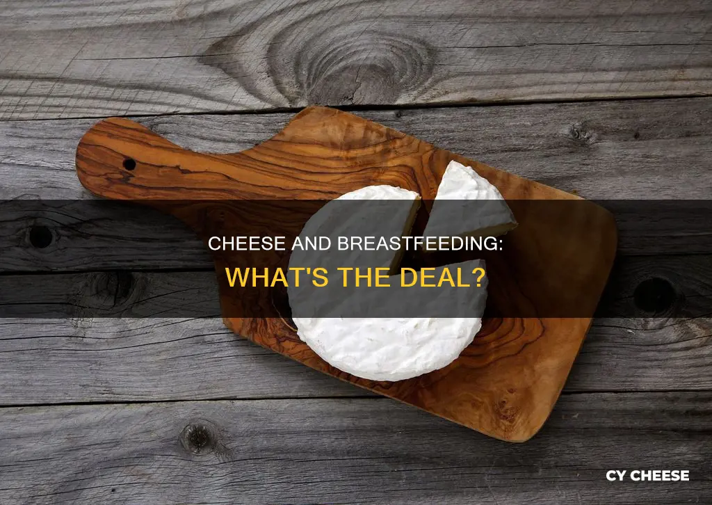 is cheese bad for breastfeeding