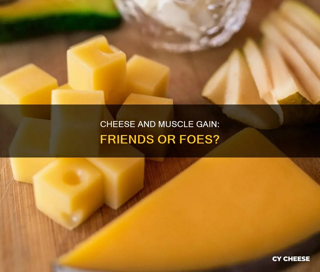 is cheese bad for building muscle