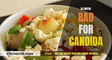 Cheese and Candida: A Healthy Relationship?