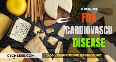 Cheese and Cardiovascular Disease: What's the Connection?