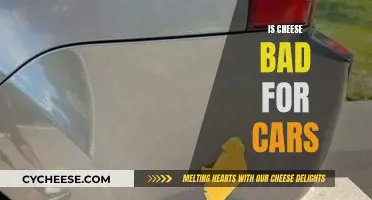 Cheese and Cars: A Bad Mix?