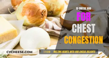 Cheese and Chest Congestion: A Risky Combo?