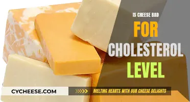 Cheese and Cholesterol: What's the Connection?