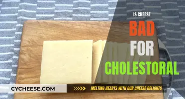 Cheese and Cholesterol: What's the Connection?