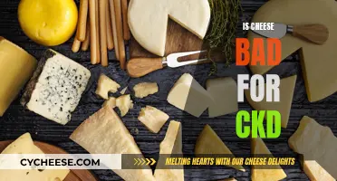 Cheese and Chronic Kidney Disease: What's the Link?