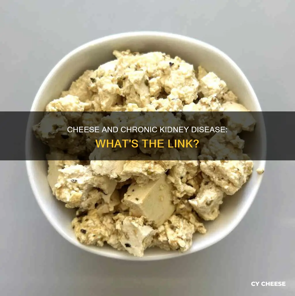 is cheese bad for ckd